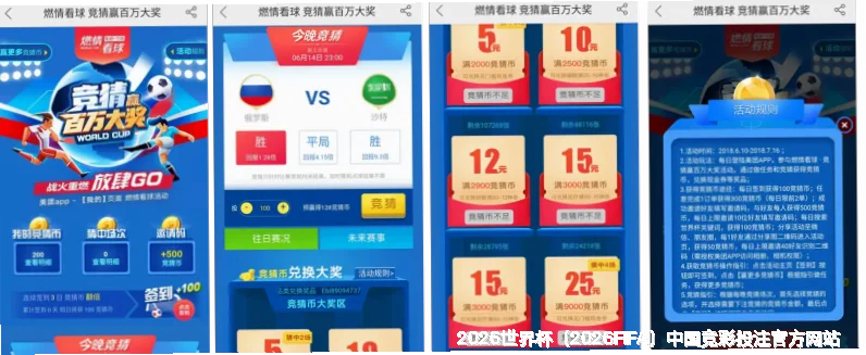 我们的故事：从热爱到专业